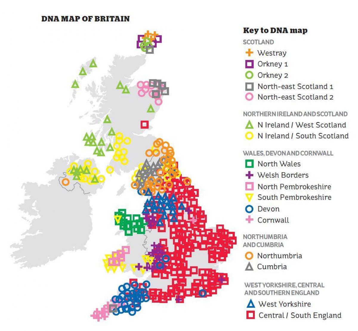 genetyczna mapa wielkiej Brytanii